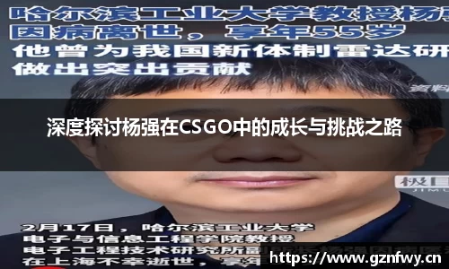 深度探讨杨强在CSGO中的成长与挑战之路