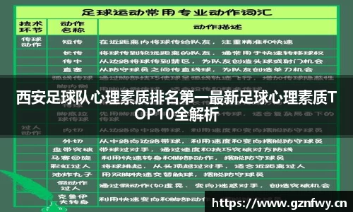 yy易游体育
