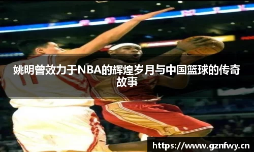 米乐YY易游