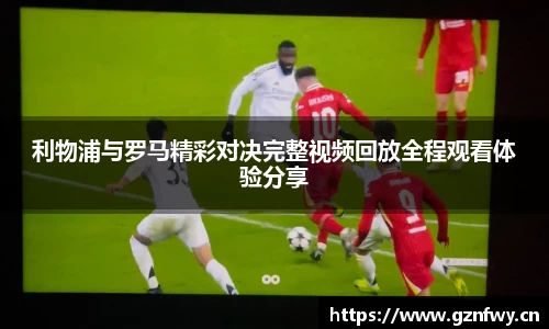 米乐YY易游